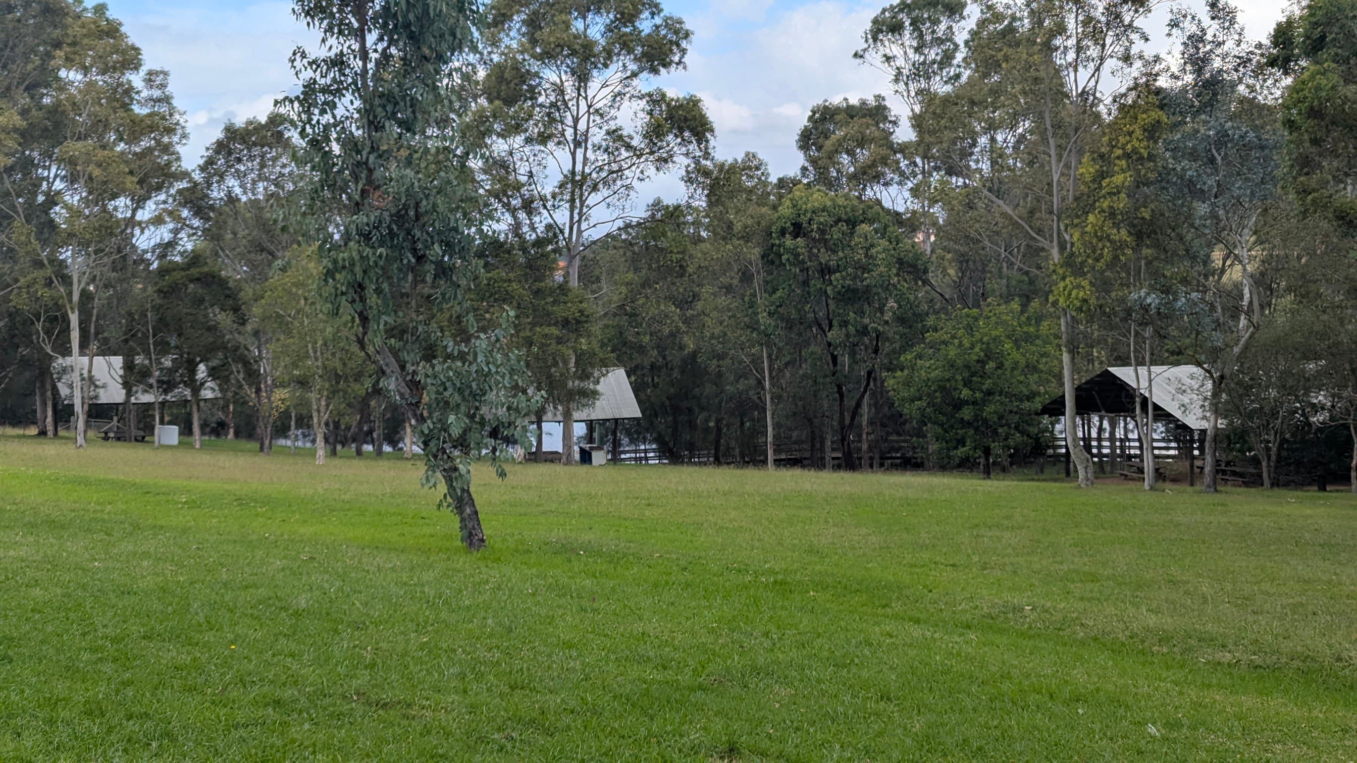 Green grassy field with several picnic shelters surrounded by trees.