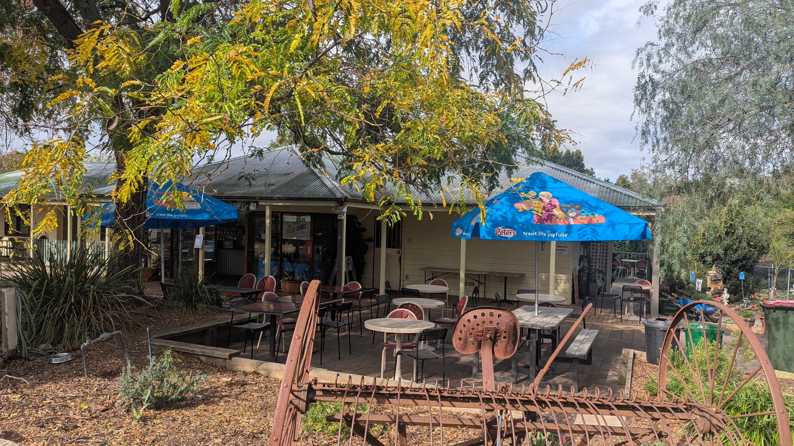 Outdoor cafe seating area under trees and blue umbrellas.