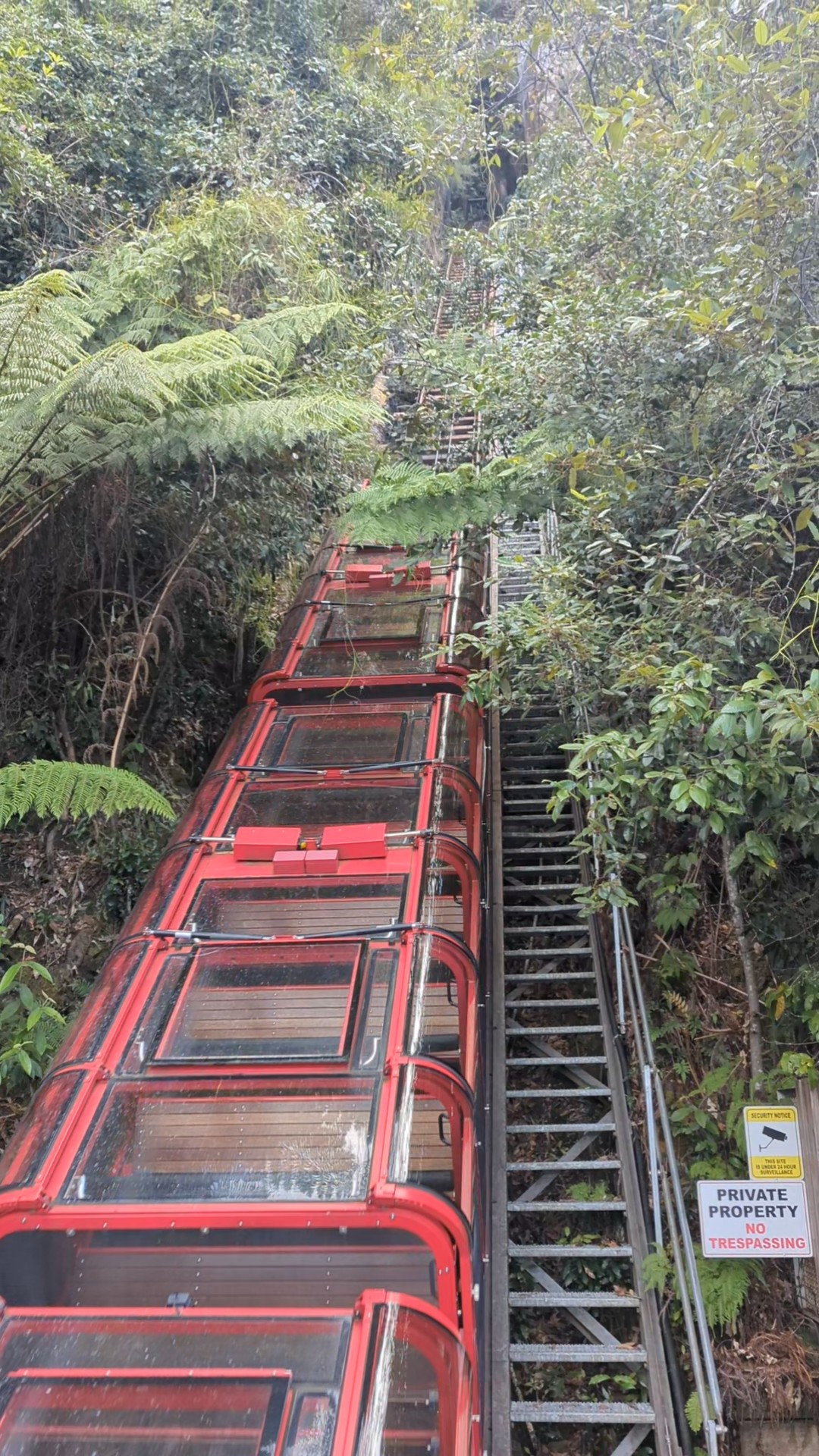 Scenic World 4