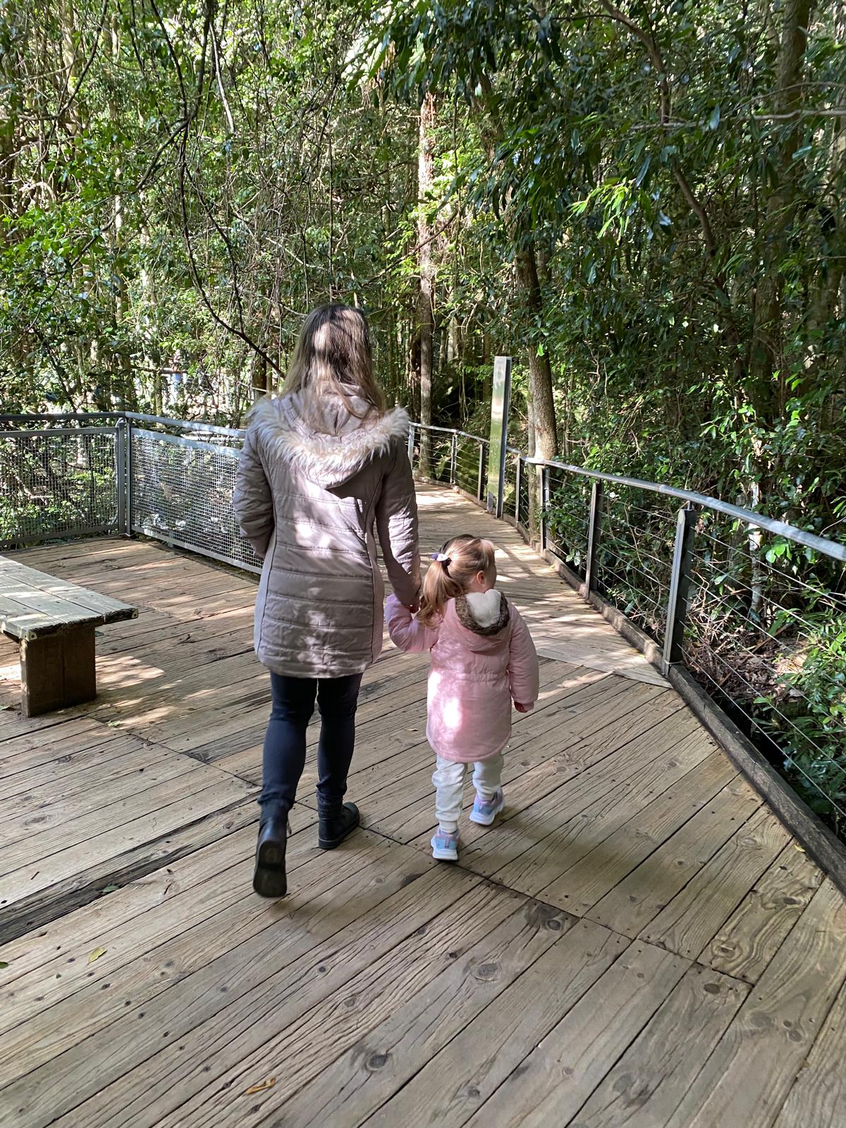 Scenic World 2