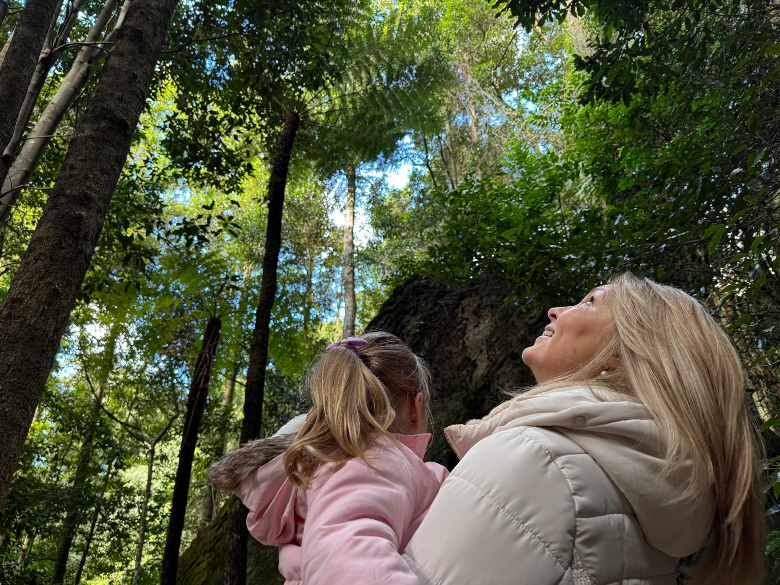 Scenic World 1