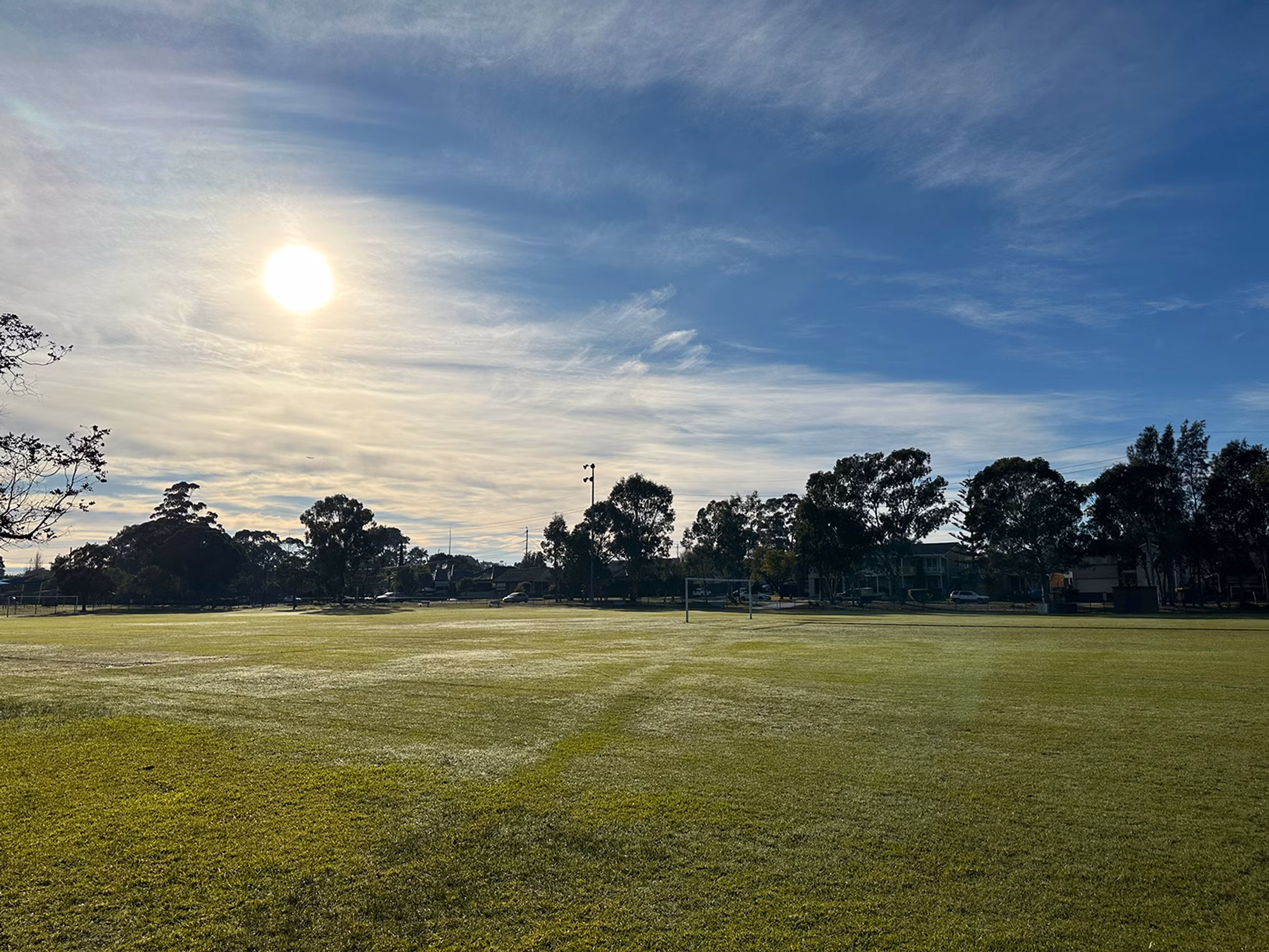 A large, grassy sports field with a soccer goal in the distance.
