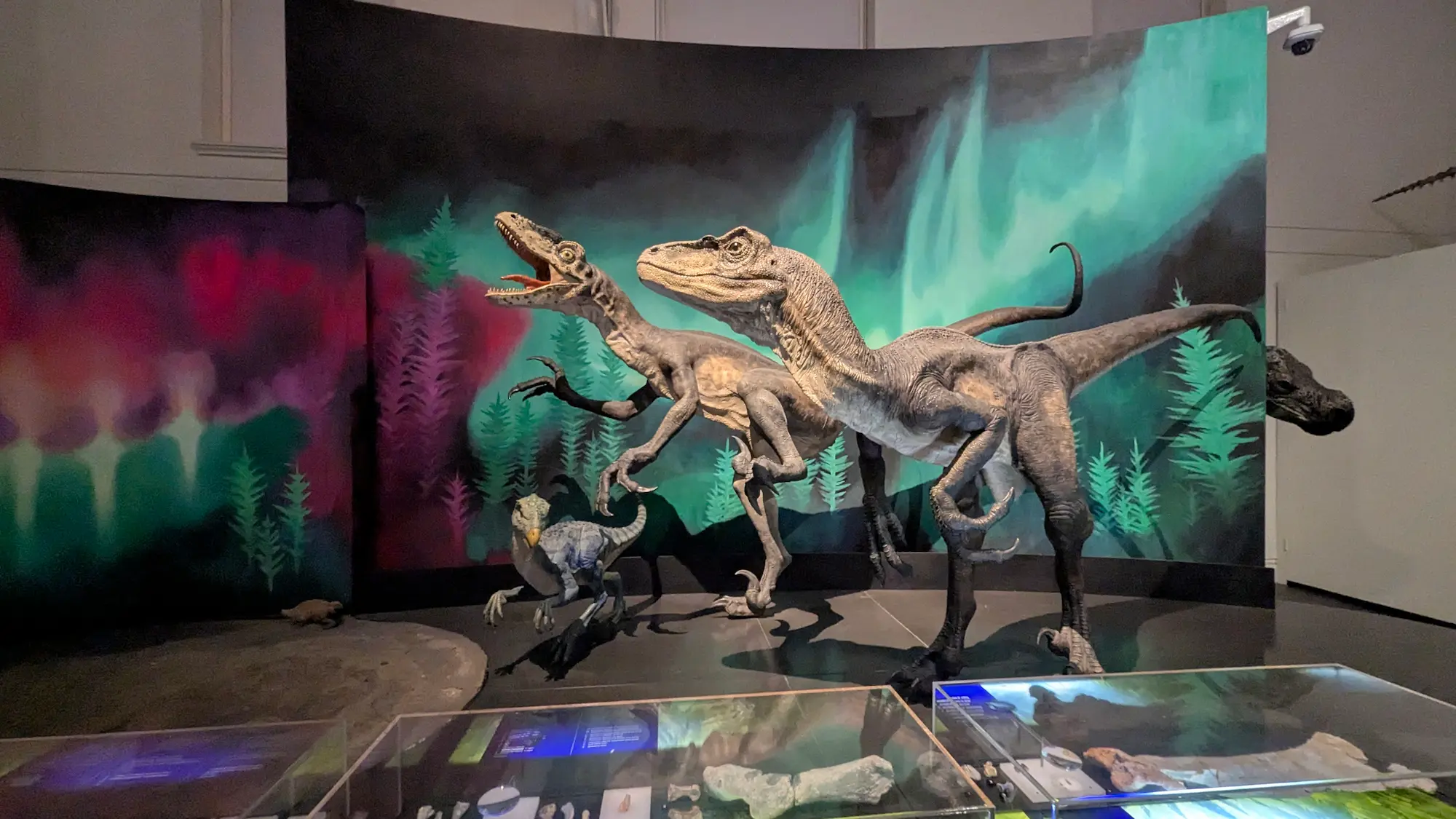 Life-sized dinosaur models posed against a vibrant aurora borealis backdrop in a dark museum gallery.