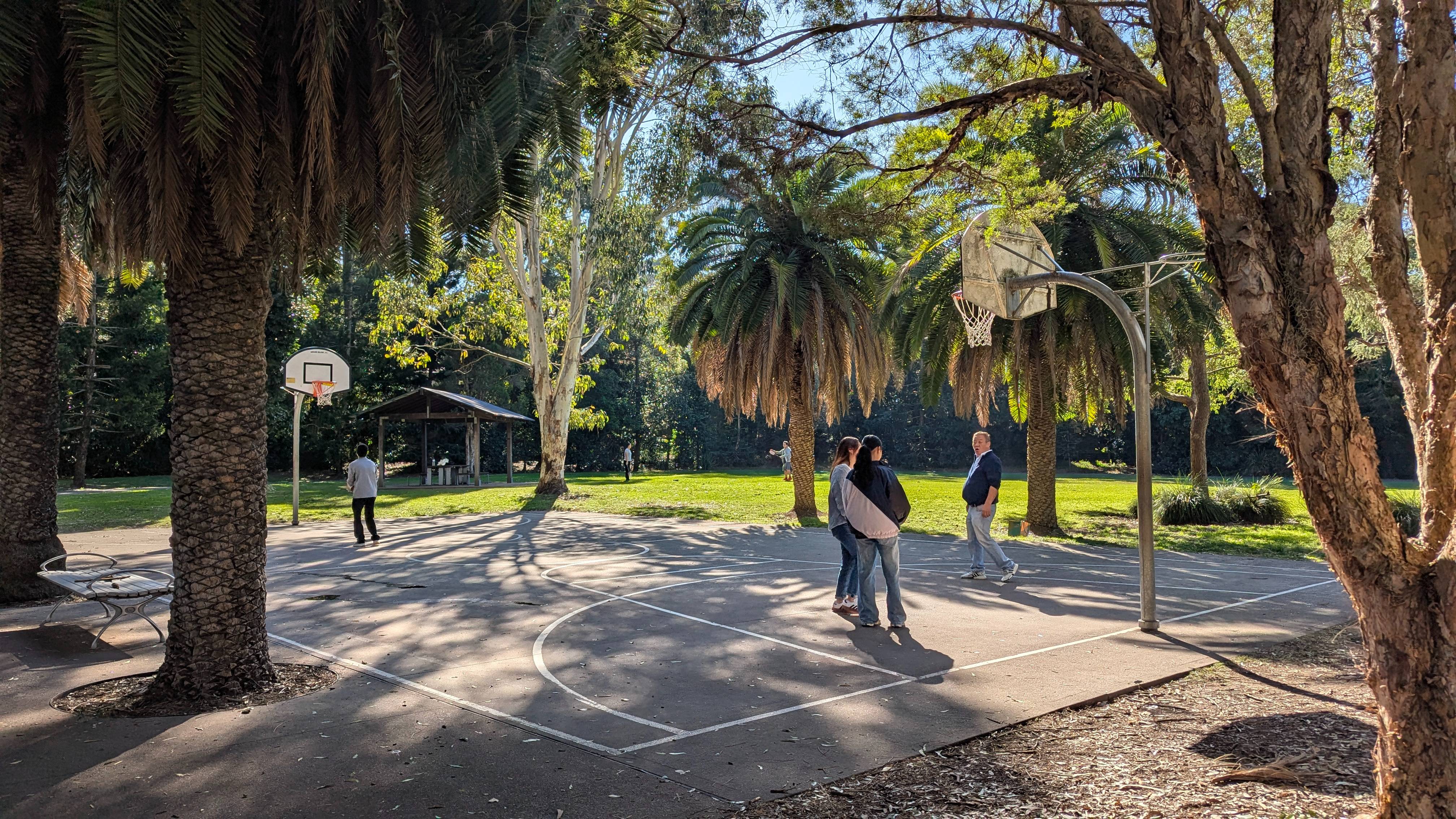 Small basketball court surrounded by trees.