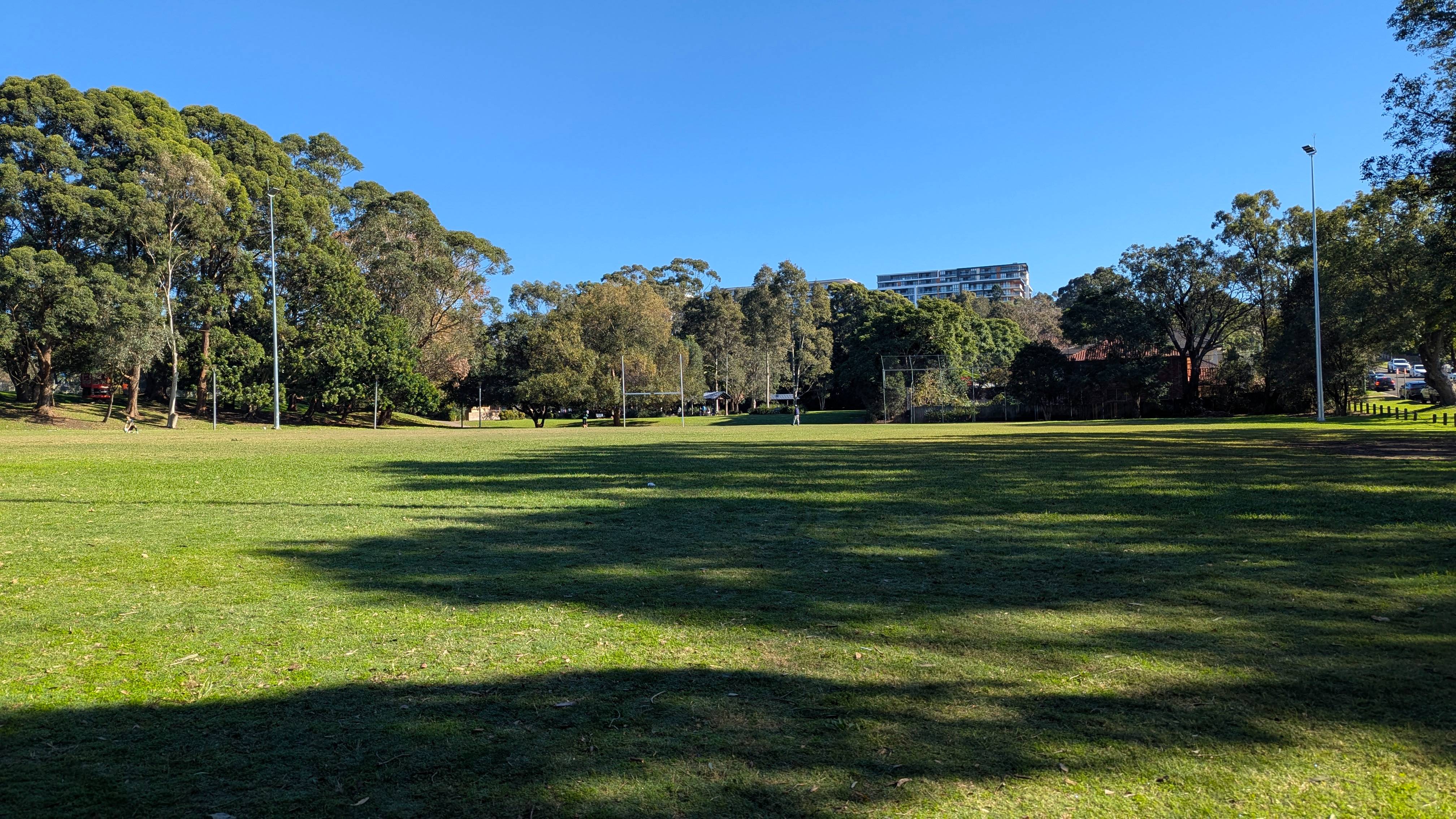 Open sportsfield surrounded by trees.