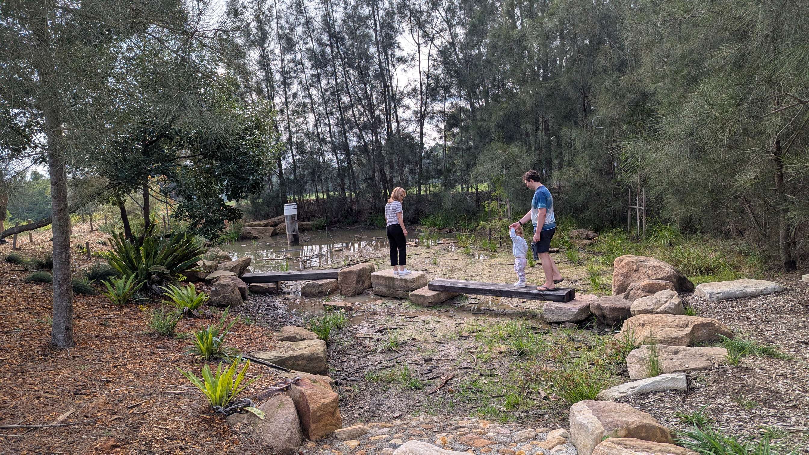 Wooden beams and stepping stones across a shallow pond.