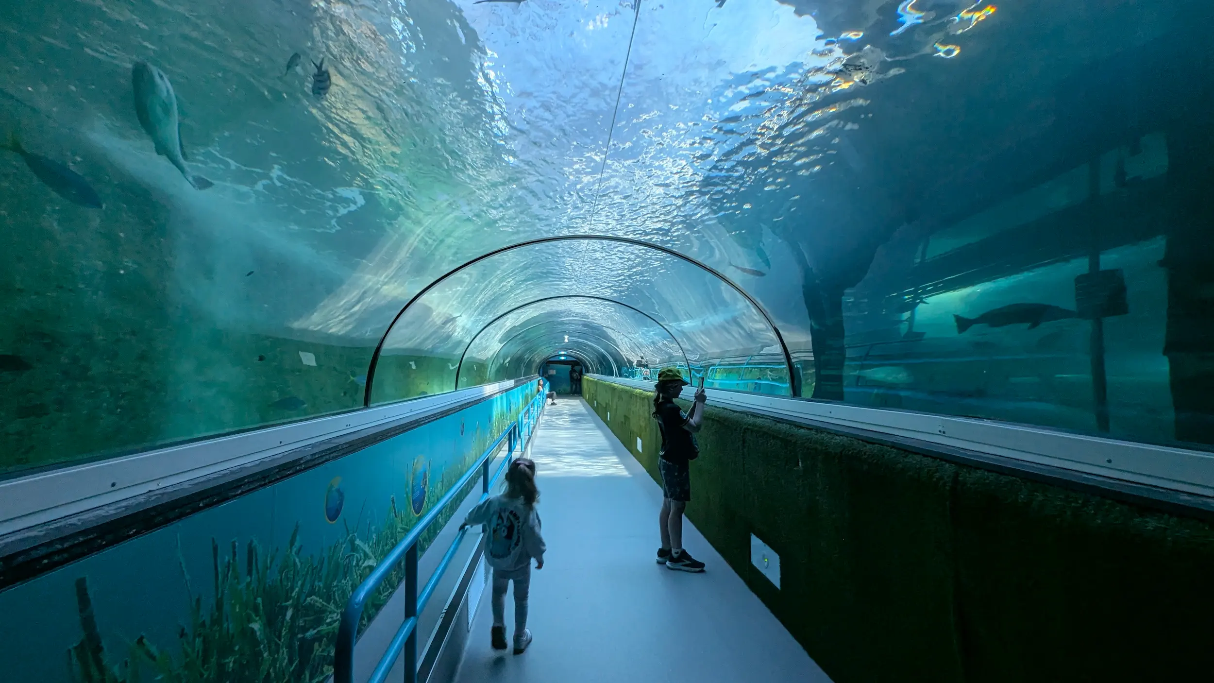 SEA LIFE Sydney Aquarium 2