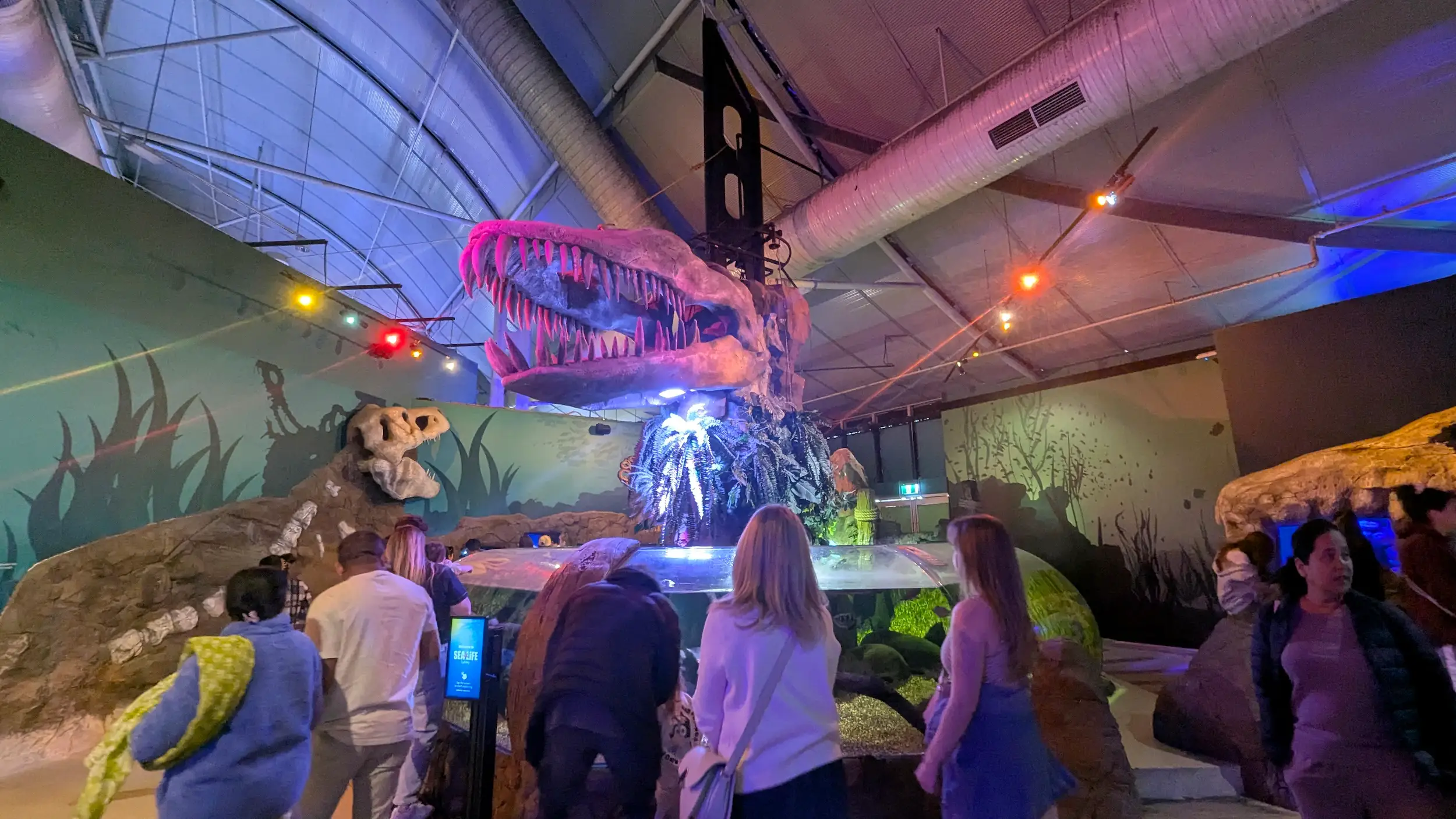 SEA LIFE Sydney Aquarium 4
