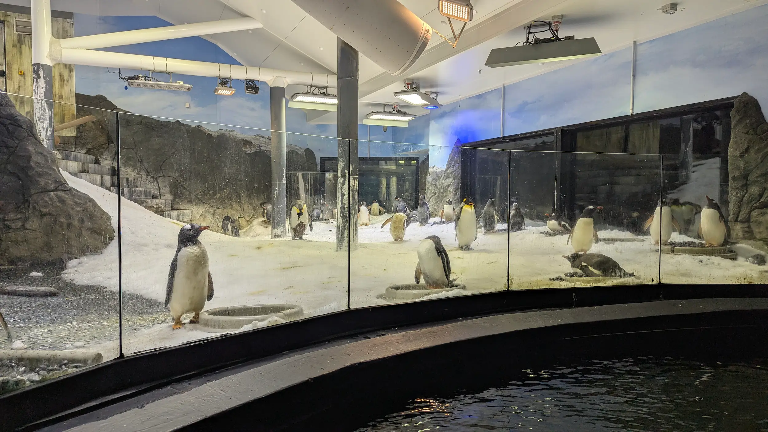 SEA LIFE Sydney Aquarium 5
