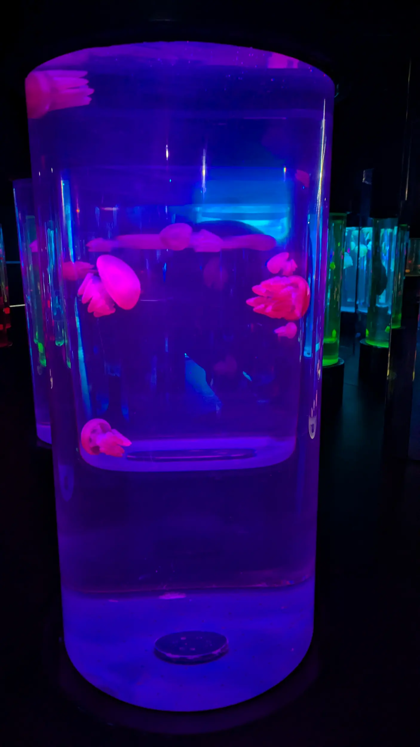 SEA LIFE Sydney Aquarium 3