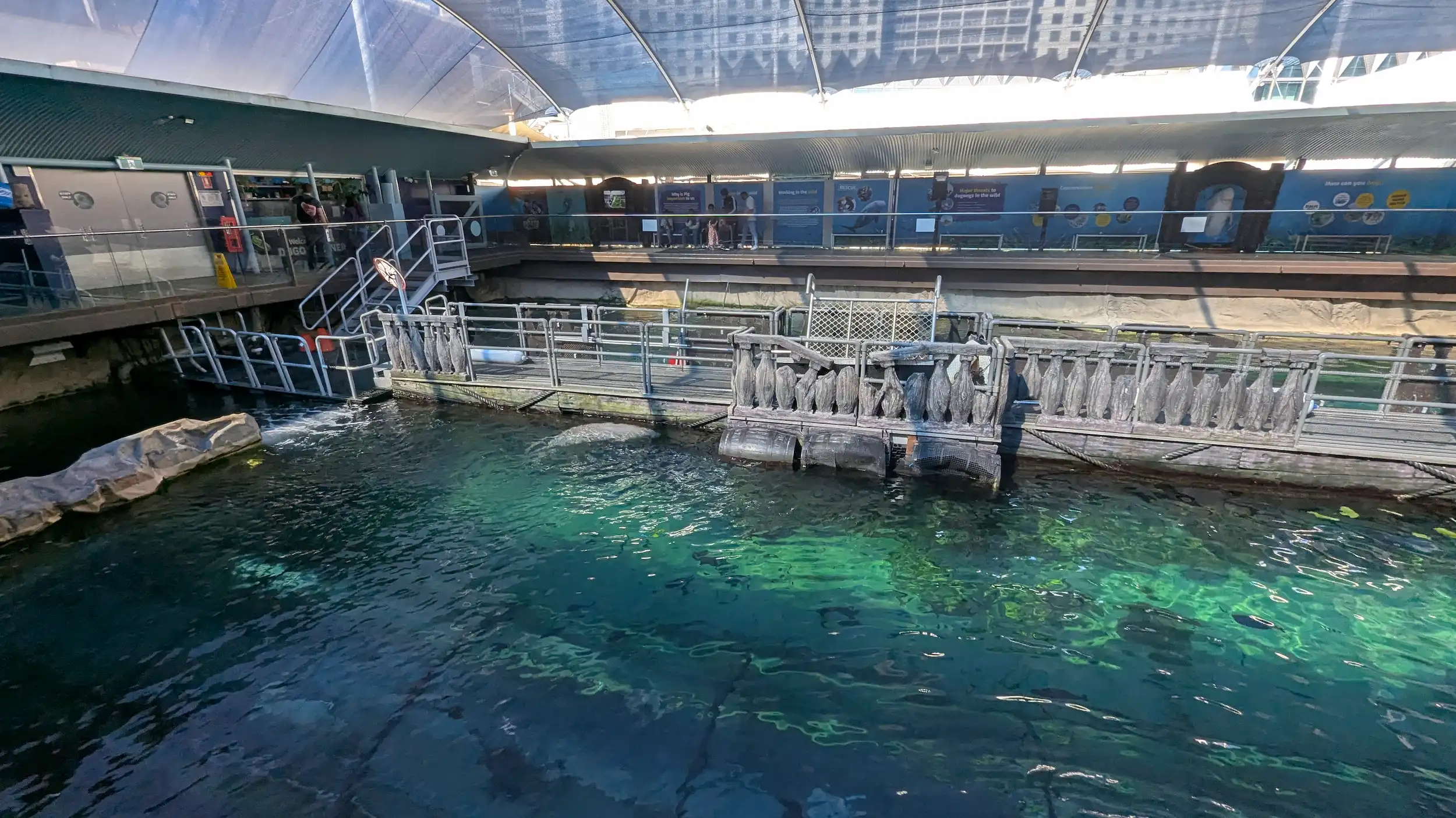 SEA LIFE Sydney Aquarium 9