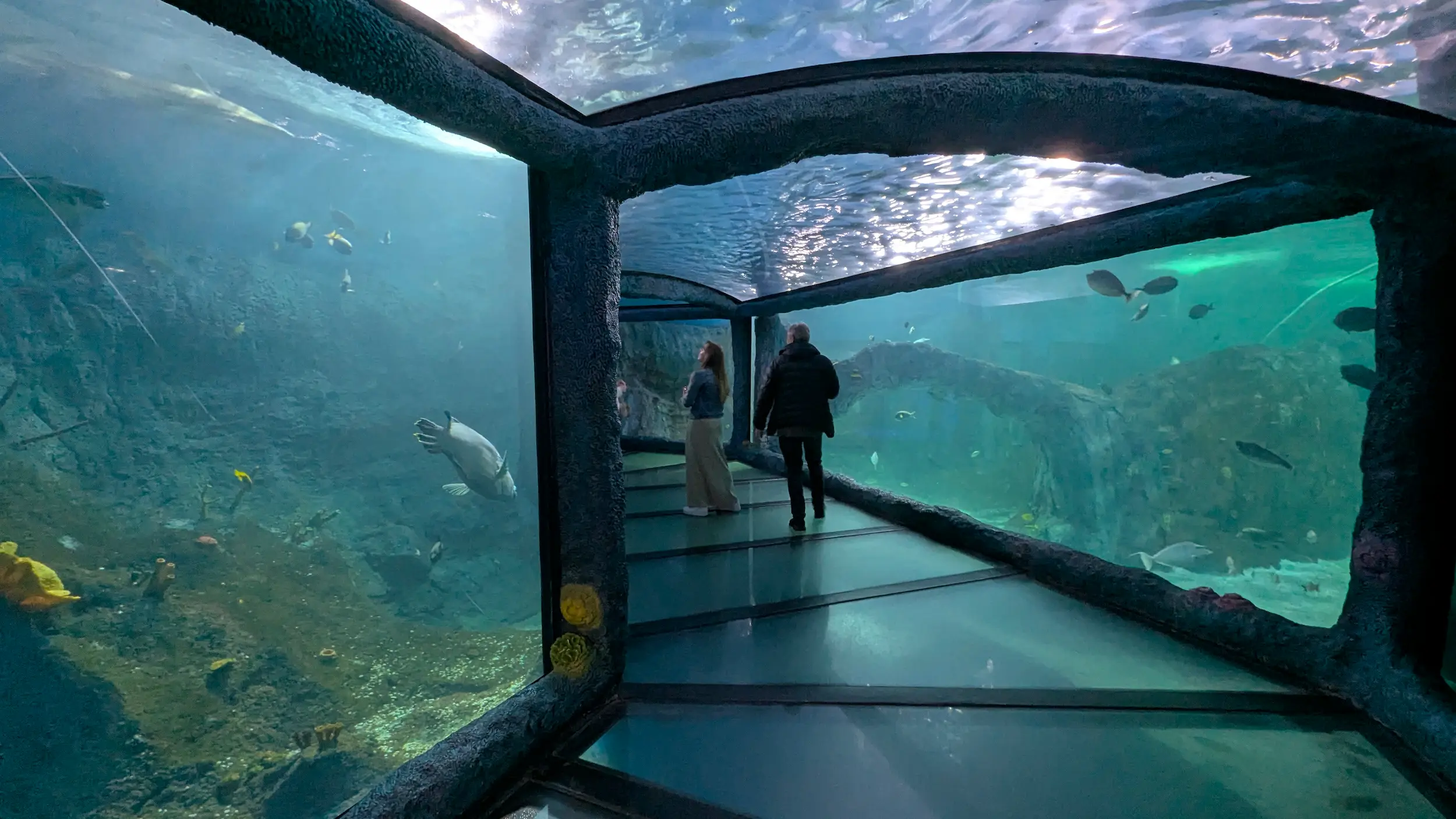 SEA LIFE Sydney Aquarium 8
