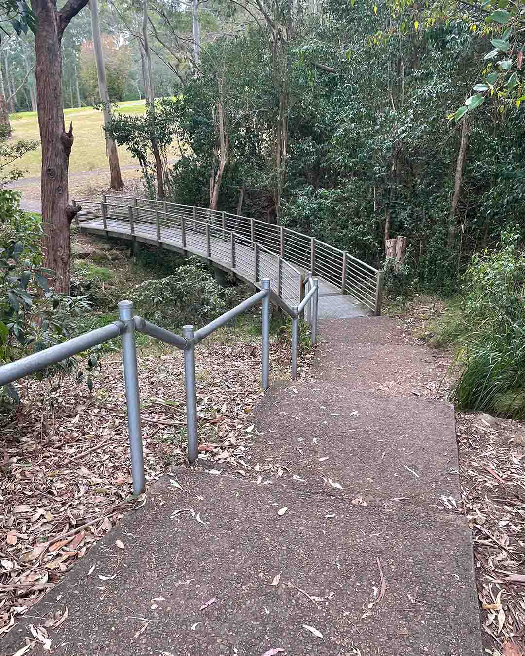Concrete steps leading down to a bridge in a bush walk.