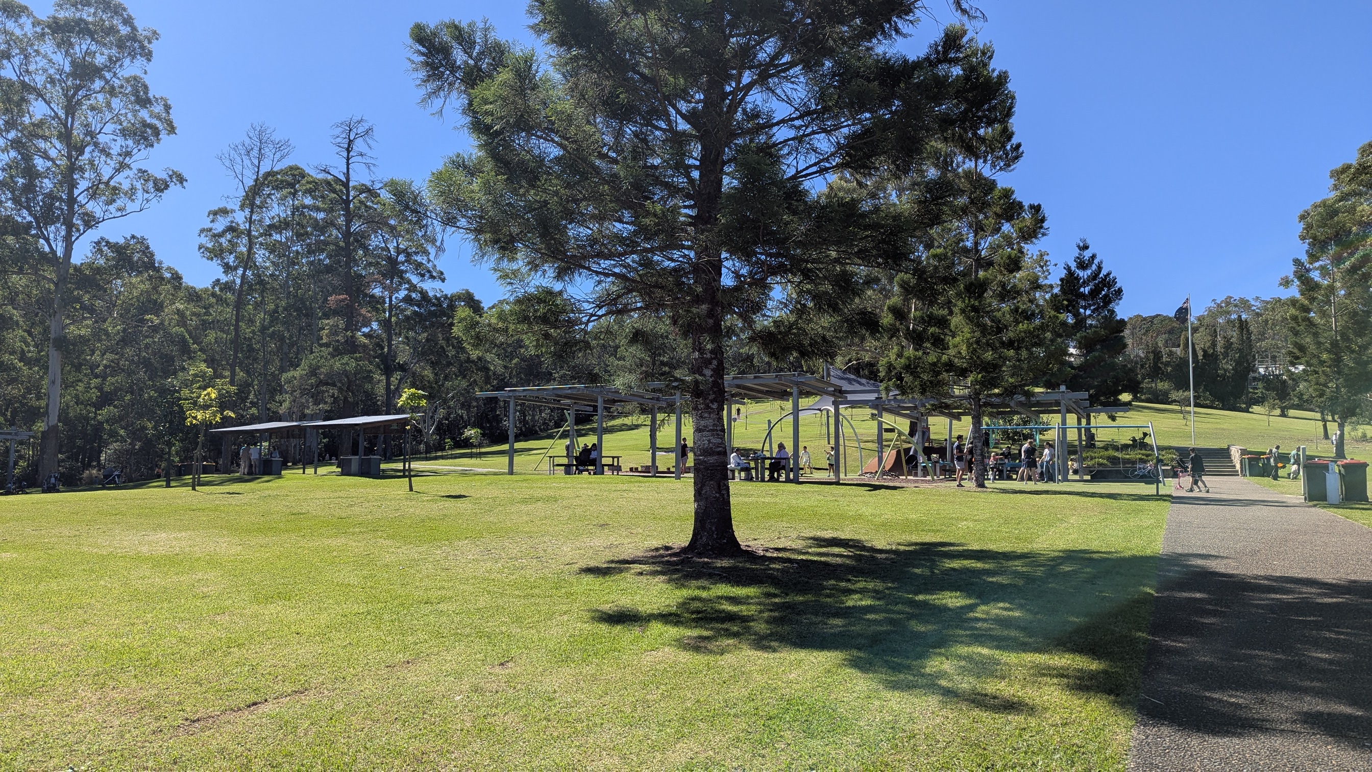 Open grassy space with some trees near the playground.