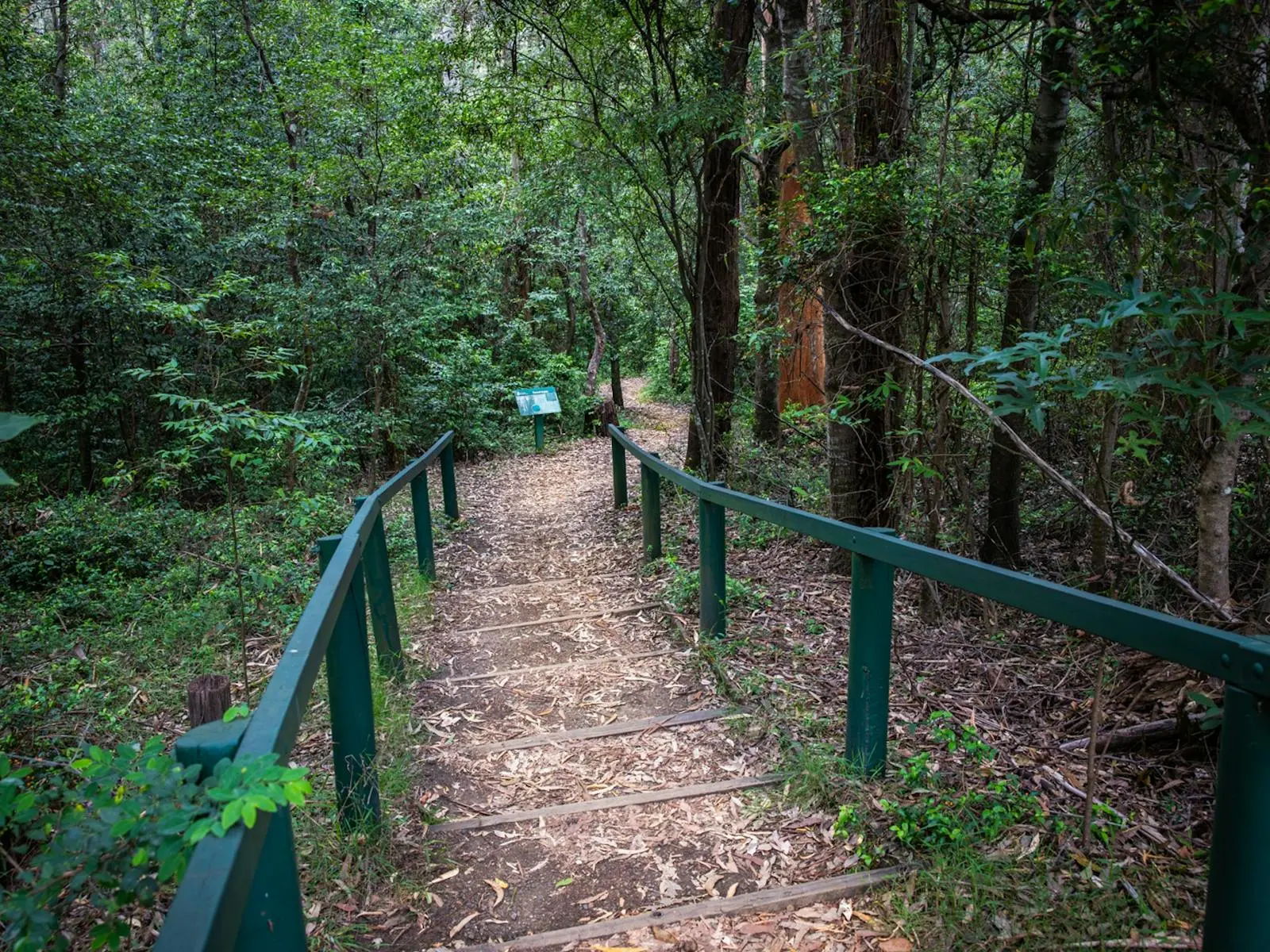 Wooden boardwalk with green railings leading through dense forest, with interpretive sign visible along the natural trail at Cumberland State Forest.