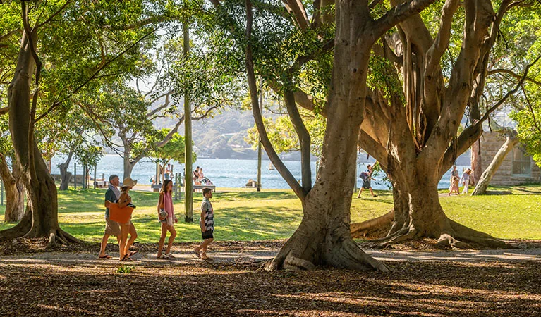Large shaded trees create a natural canopy over grassy parkland with harbor views, where families gather and children play near the waterfront at Nielsen Park.