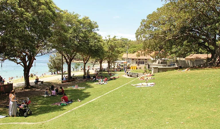 Large grassy park area with mature shade trees overlooking a beach, families relaxing on blankets and under trees, with waterfront facilities visible in background