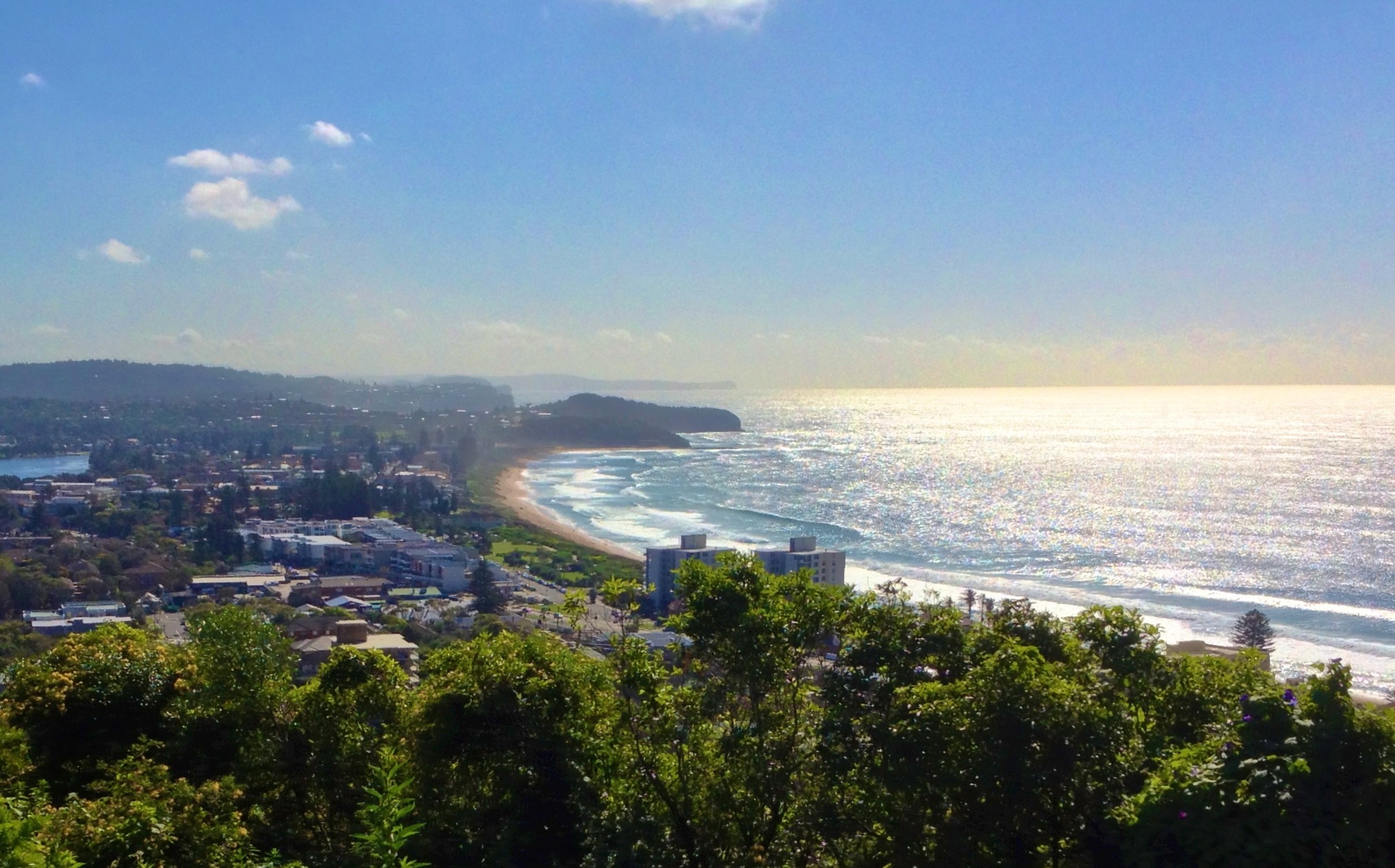 Elevated view over Collaroy Beach showing the sandy beach, breaking surf and the low-rise beachfront suburb where the reserve sits.