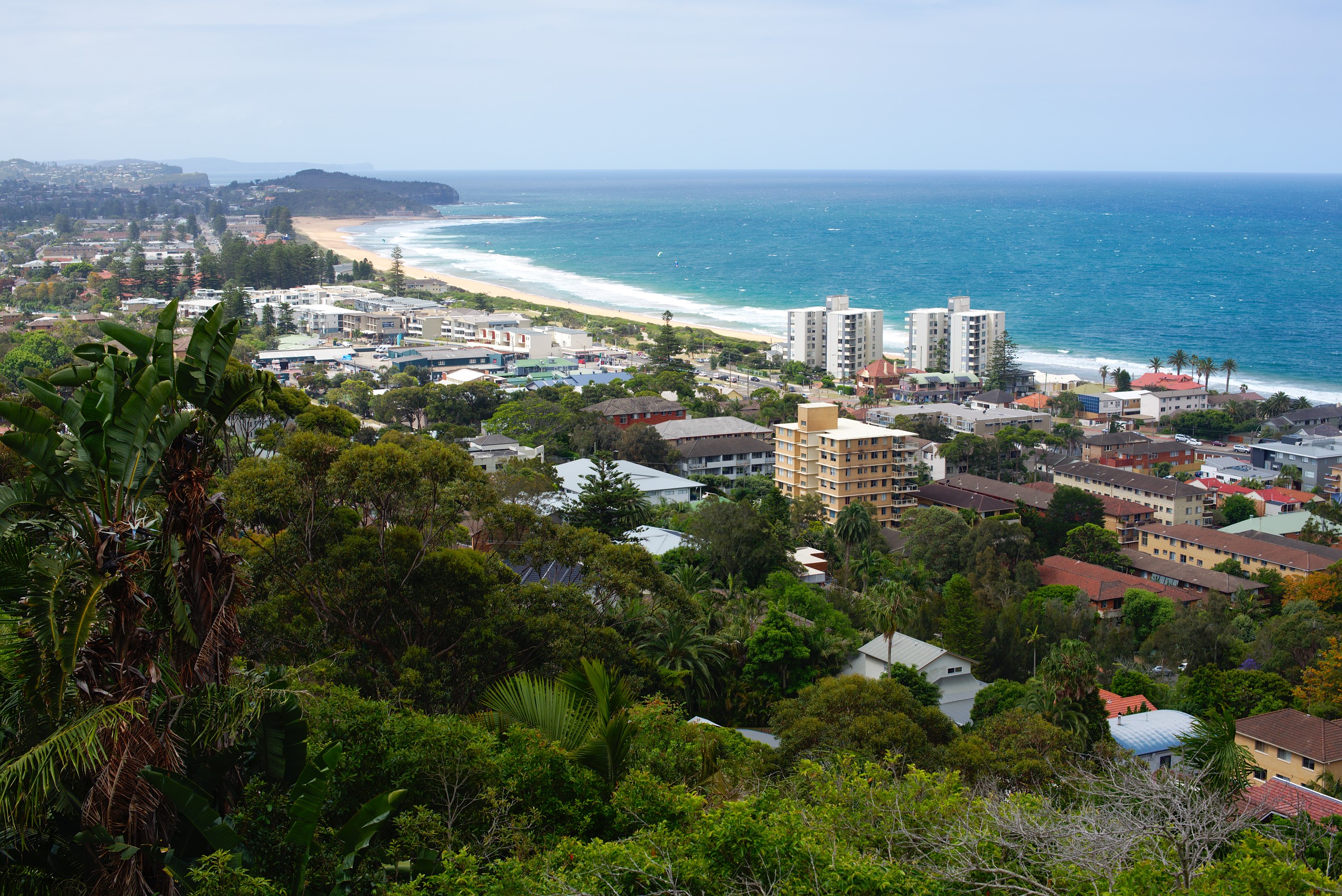 Hillside view across the Collaroy-Narrabeen beachfront with the long sandy beach, ocean and the surrounding low-rise streets and reserve.