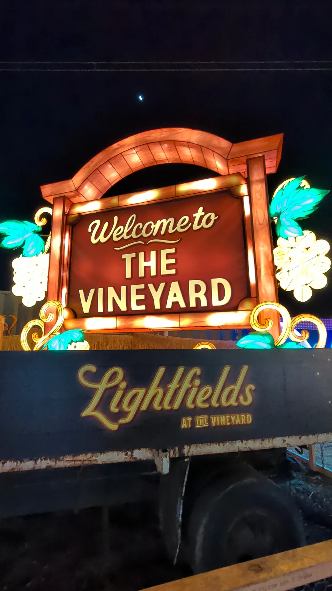 Illuminated welcome sign for Lightfields at The Vineyard 2026, featuring warm amber lighting, teal grape leaf accents, and golden decorative details against a night sky.