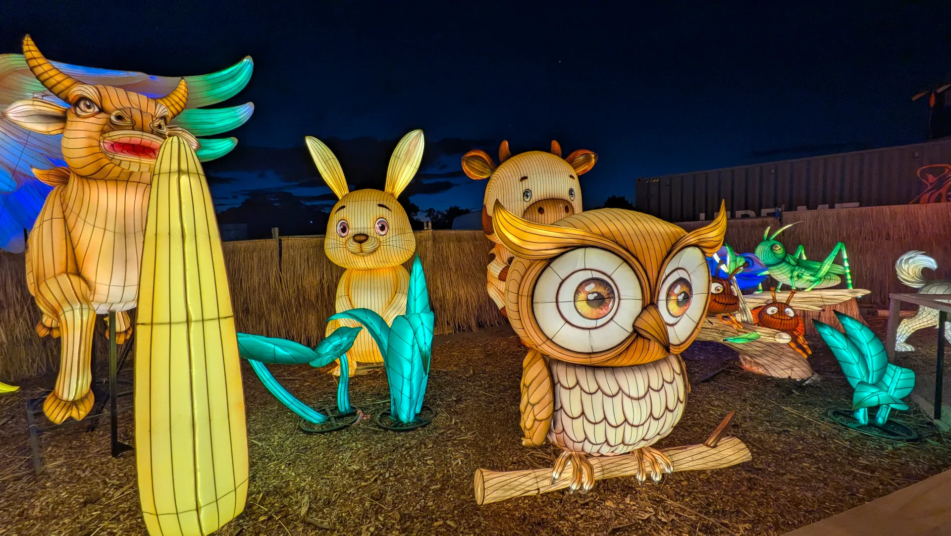 Glowing animal lantern sculptures including an owl, rabbit, bull, and insects displayed at night at Lightfields at The Vineyard, a family-friendly outdoor light festival.