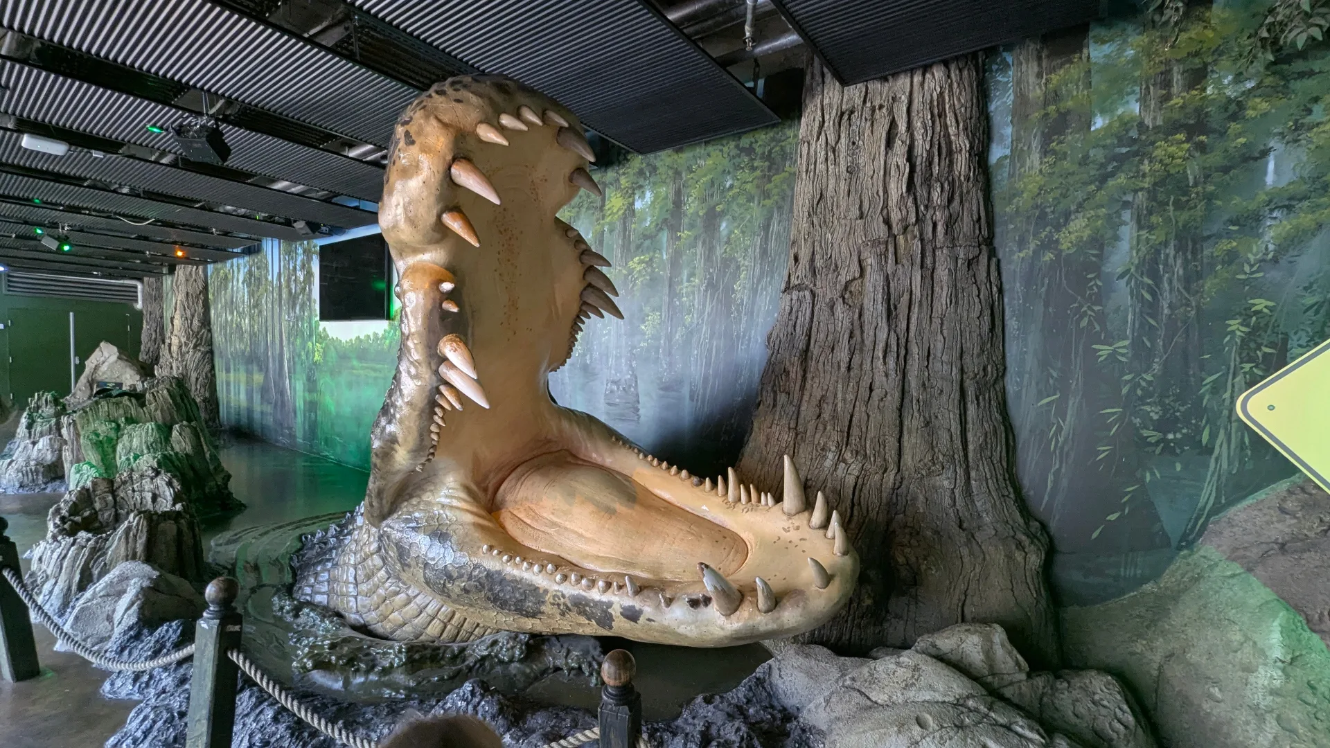 Large animatronic crocodile head with open jaws displaying sharp teeth in indoor zoo exhibit with jungle backdrop and artificial tree trunks
