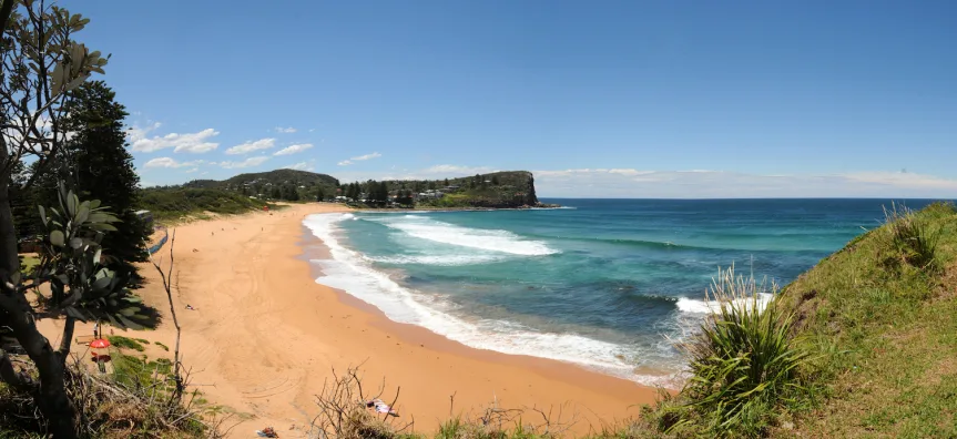 Wide view of Avalon Beach showing a long curve of golden sand, breaking waves rolling into turquoise water, and a green headland in the distance under a blue sky.