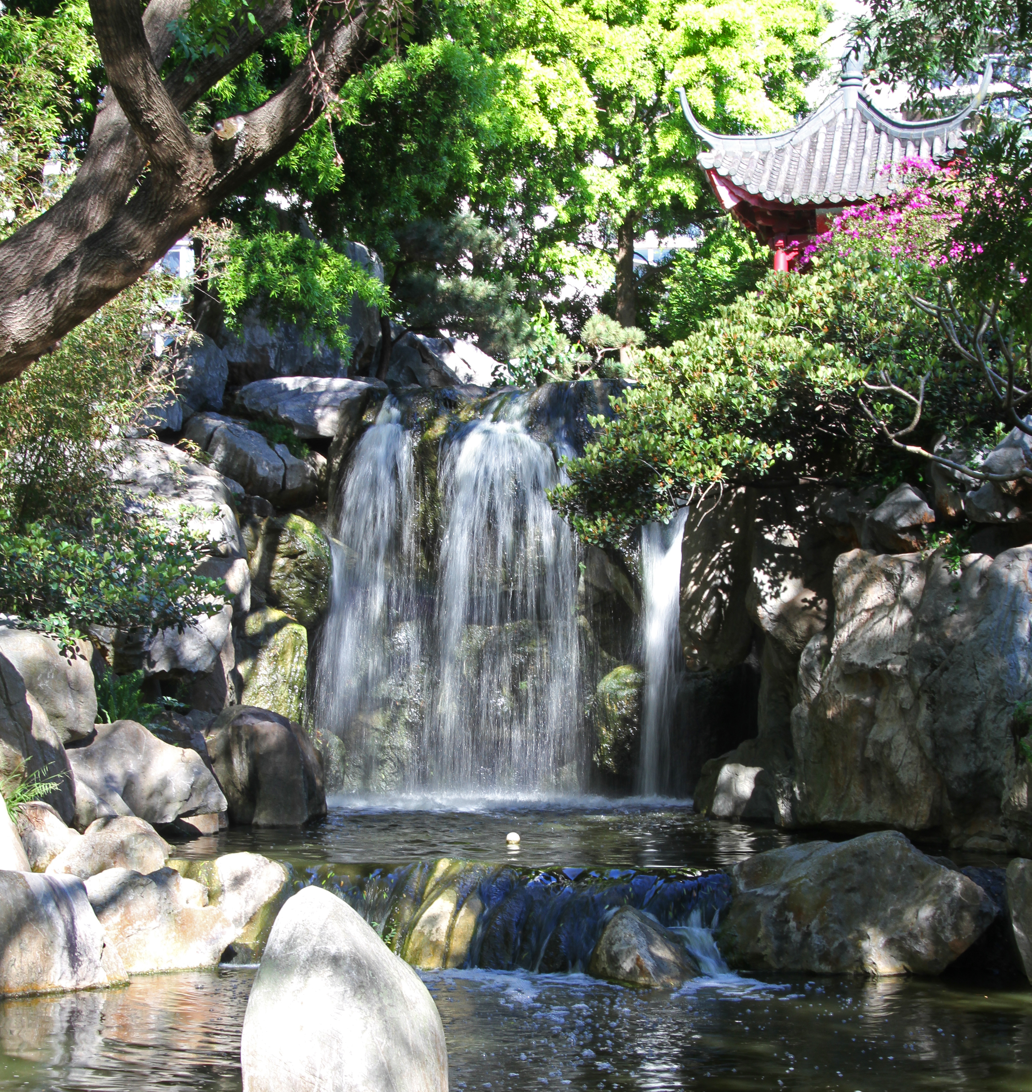 Traditional pavilion and pond at the Chinese Garden of Friendship, Sydney