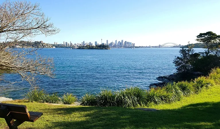 Waterfront park with grassy lawn, harbor views of city skyline, and bench seating perfect for family picnics along the walking track.