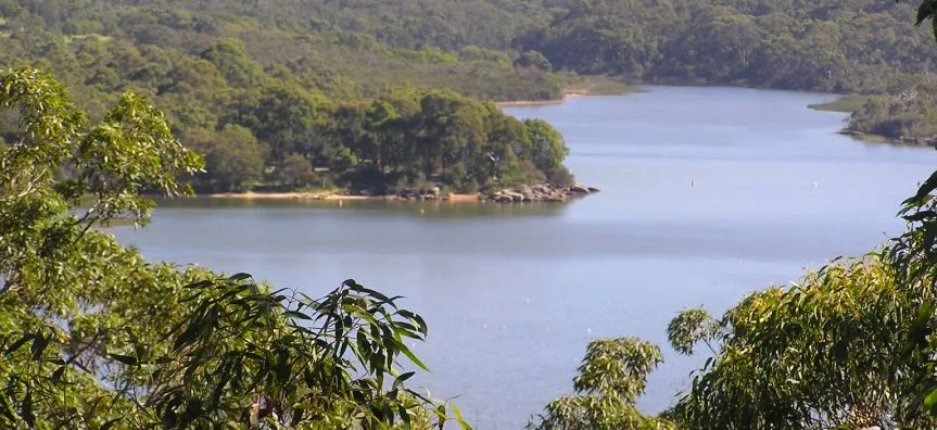 Serene lake surrounded by lush green hills and native vegetation, with calm waters perfect for family picnics and nature walks at Manly Dam.