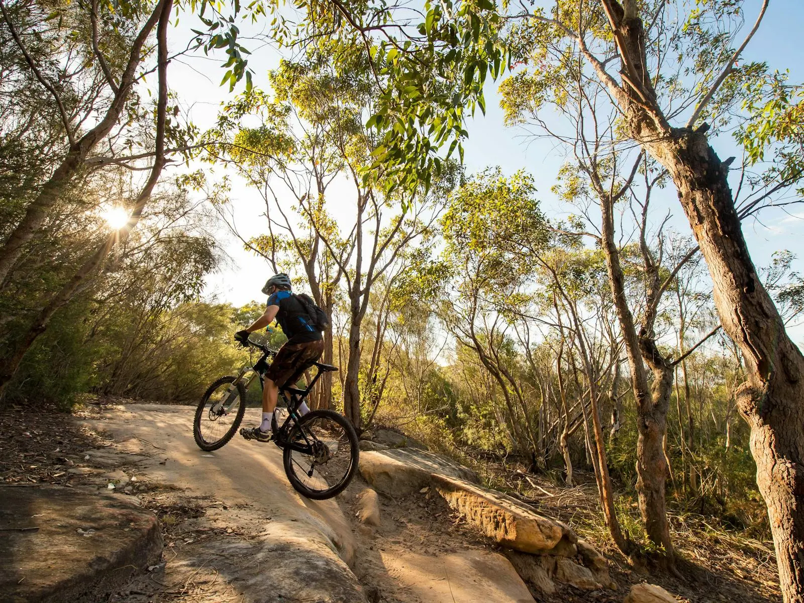 Mountain biker navigating rocky terrain on wooded trail at Manly Dam, surrounded by eucalyptus trees in golden sunlight