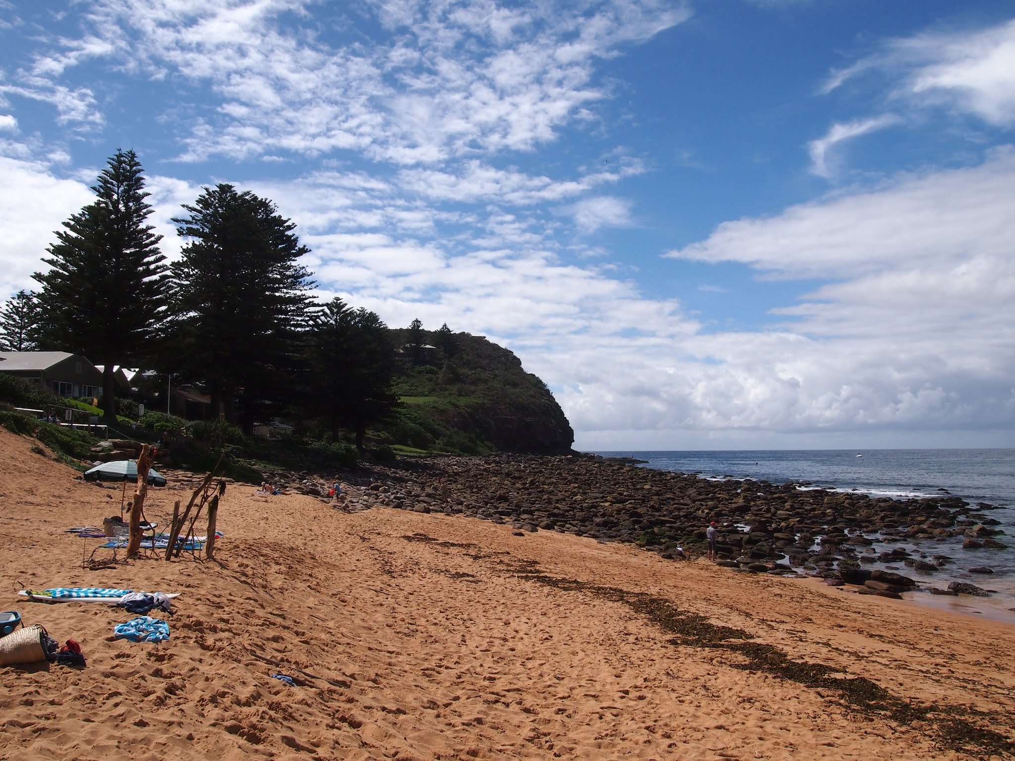 Avalon Beach with a rocky intertidal shelf, Norfolk pines and headland in the background.