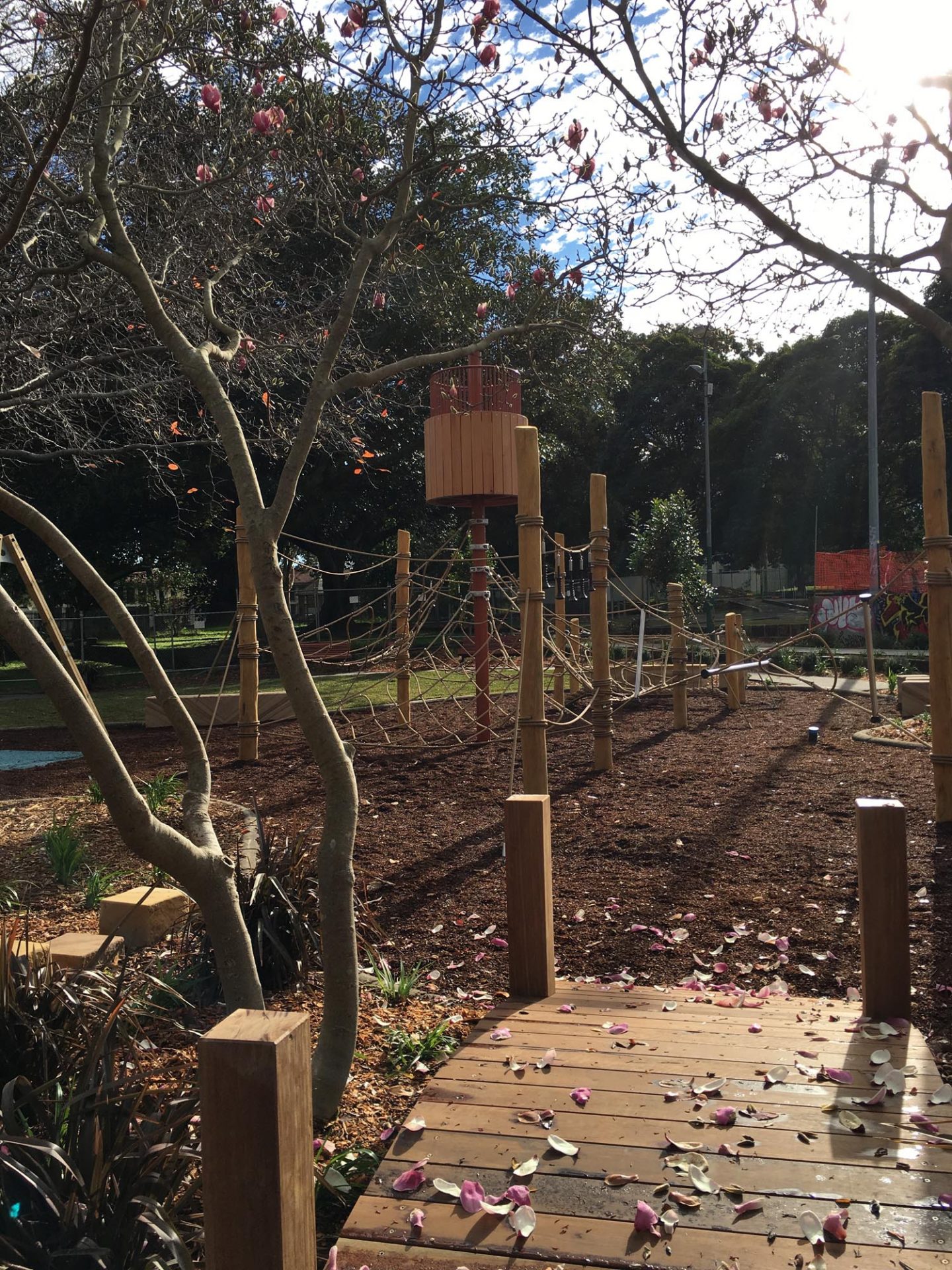 Timber boardwalk leading into a nature-based playground with robinia timber posts, a rope climbing net and an elevated timber lookout tower, set on bark softfall under a flowering fig tree.