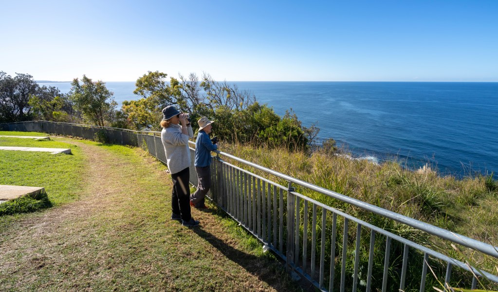 Two people looking through binoculars over the ocean from the railed clifftop edge at Crackneck Point Lookout