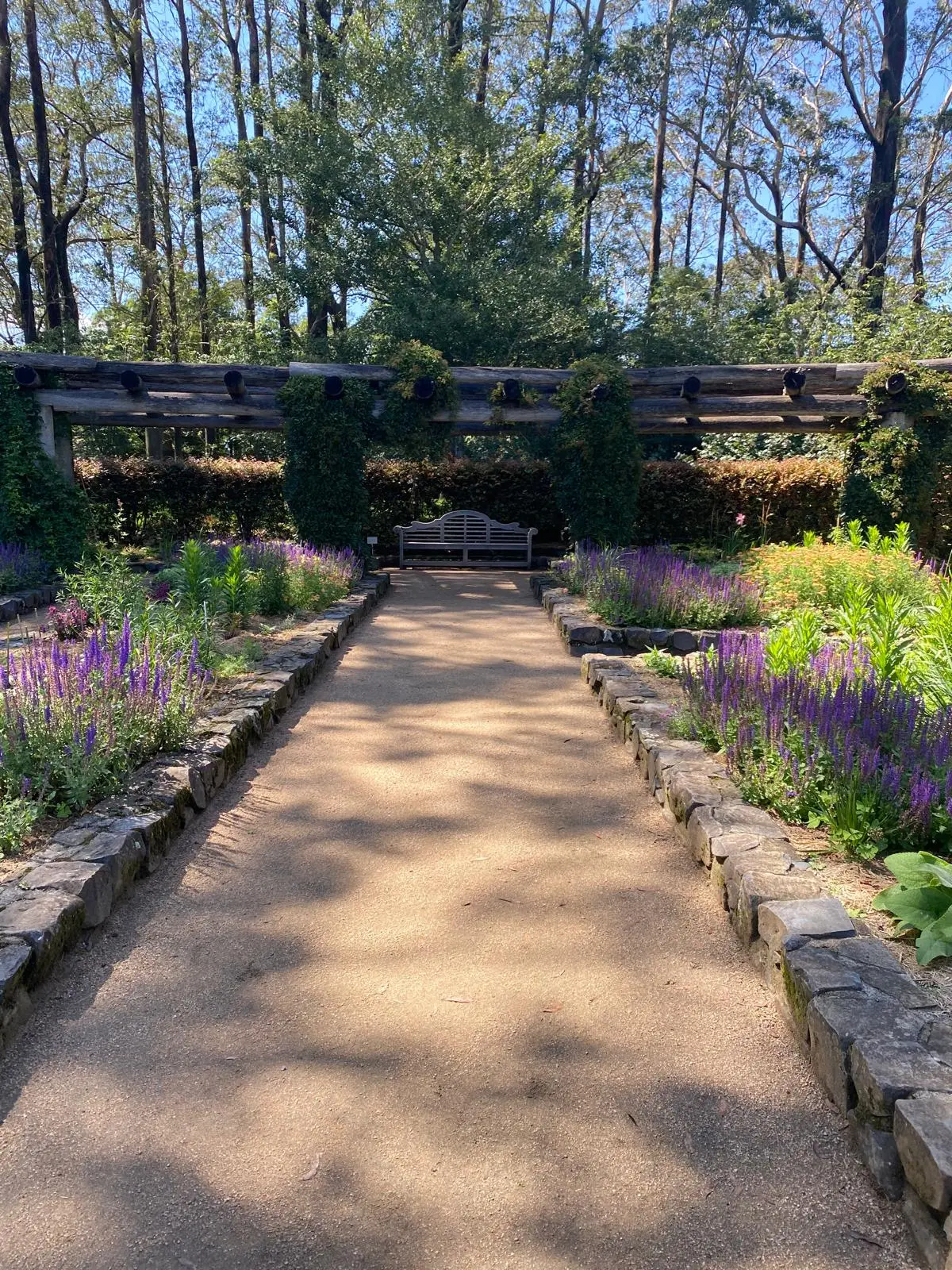 Paved garden pathway flanked by purple flowering plants and stone borders, leading to a wooden bench under a rustic timber pergola surrounded by mature trees.