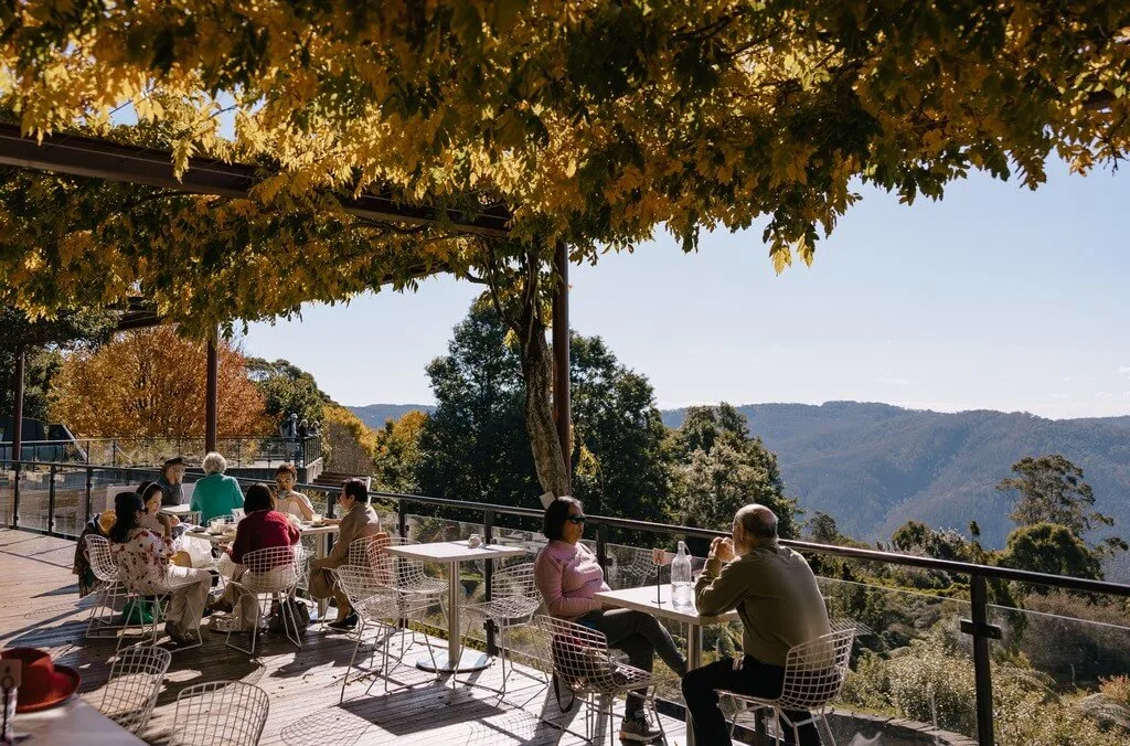 Outdoor cafe terrace with families dining at wire chairs under golden autumn vine canopy, overlooking forested valley with mountains in background