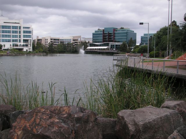 Norwest Lake in the middle of the Norwest Business Park.