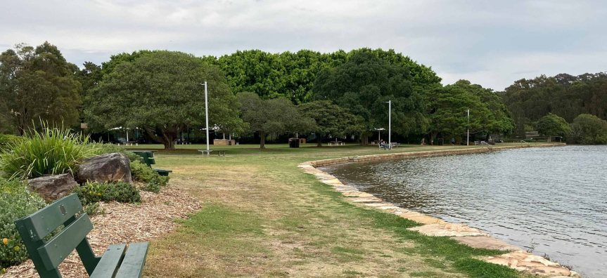 Grassy foreshore reserve beside calm Pittwater water, with a sandstone-edged shoreline, park benches and large shade trees.