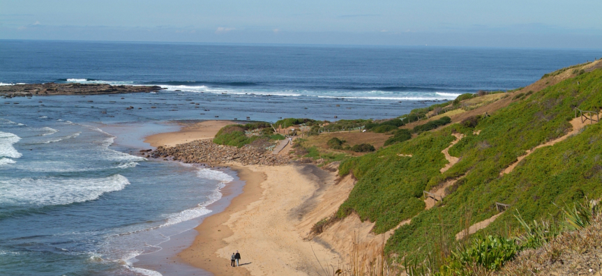 Long Reef Reserve headland and coastline near Collaroy