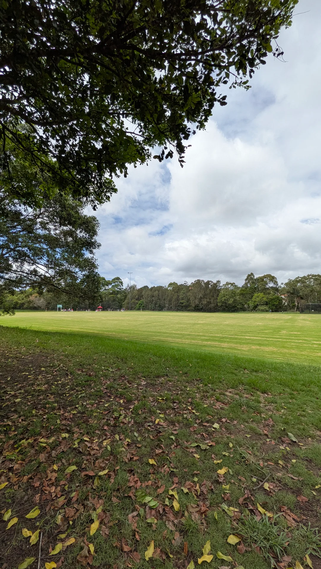 Hallstrom Park 8