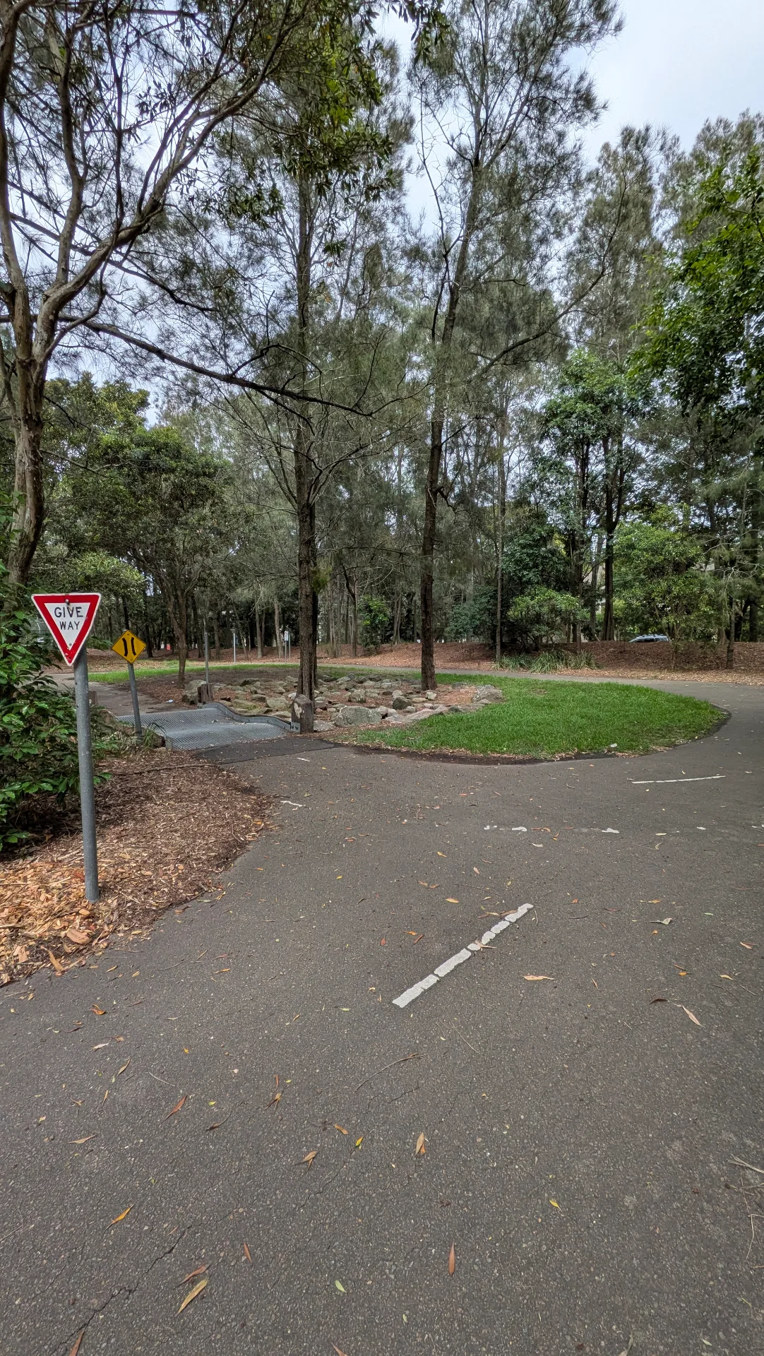 Hallstrom Park 6
