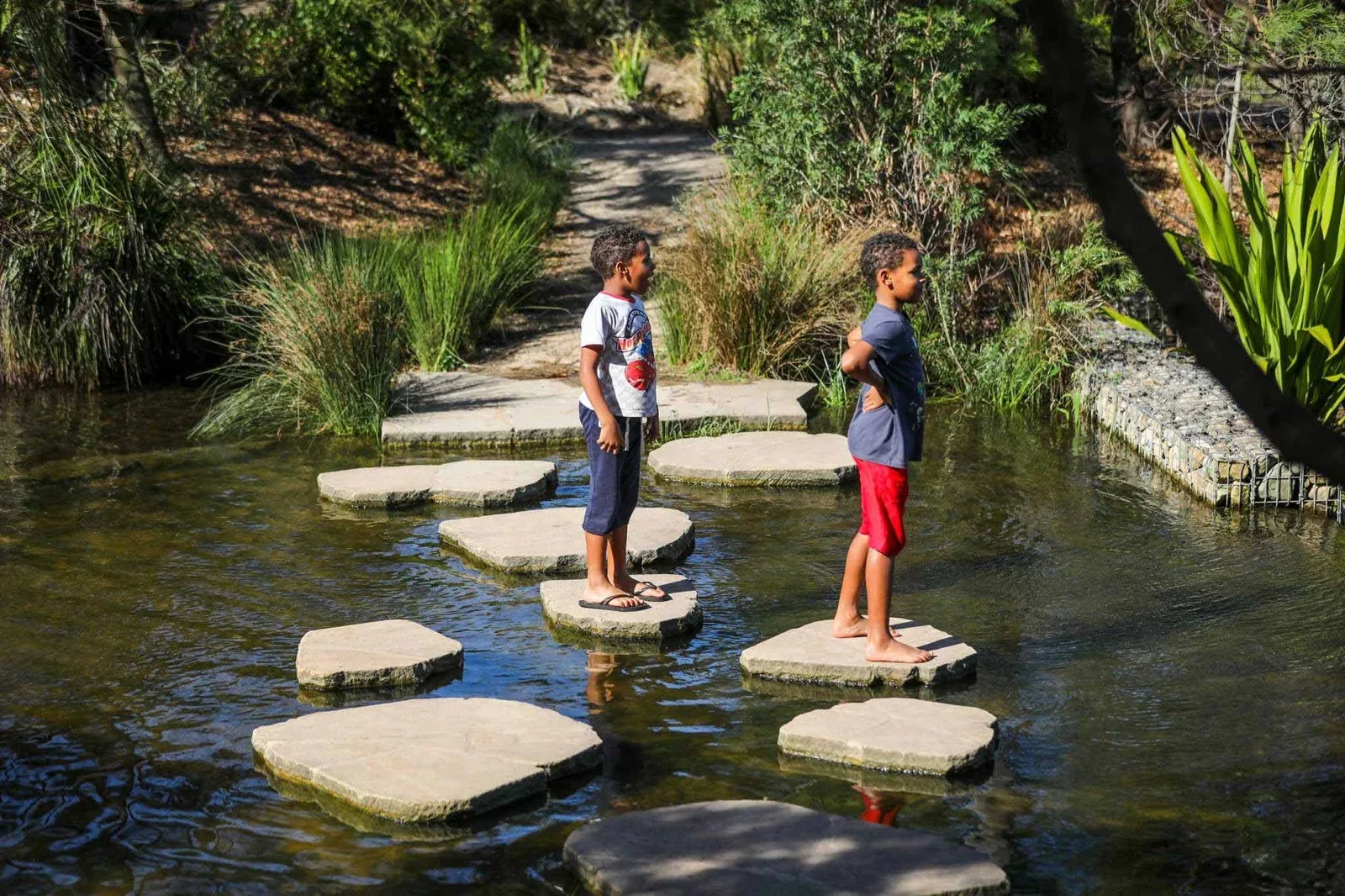 Two children standing on large circular stepping stones crossing a shallow creek, with lush vegetation and a paved walking path visible in the background at Sydney Park.