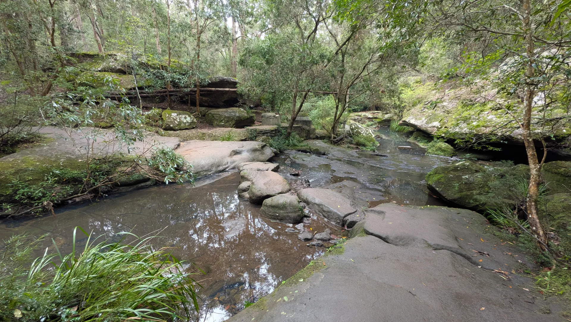 Natural creek with large sandstone rocks and shallow water pools surrounded by native bushland, with walking paths visible for families exploring.