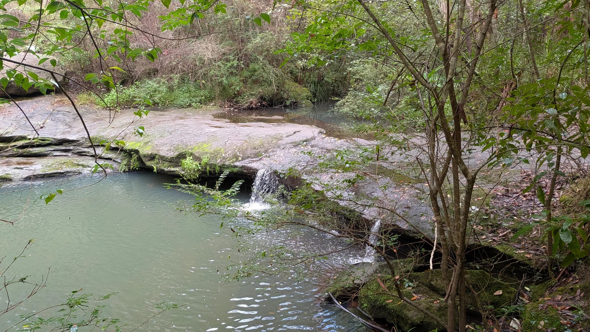 Natural swimming hole with small waterfall cascading over moss-covered rocks into murky green water, surrounded by native bushland and trees providing shade along walking track.