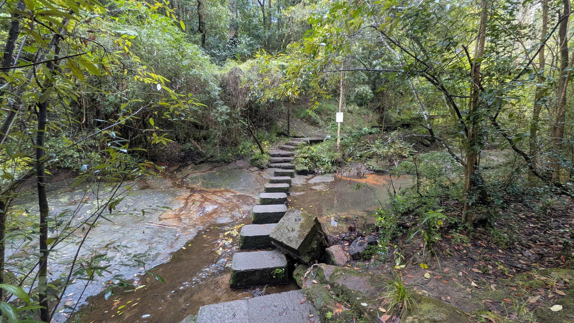 Stone stepping stones cross a shallow creek surrounded by lush bushland, with a trail marker visible on the opposite bank at Platypus Track.