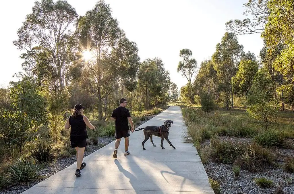 A man and woman walking a large dog on a wide, paved accessible path through a sun-drenched eucalyptus forest.