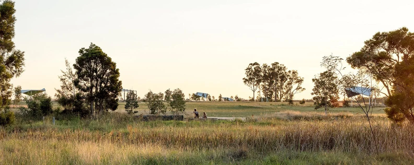 Wide view of a grassy meadow with native trees and distant shade structures under a soft sunset sky.