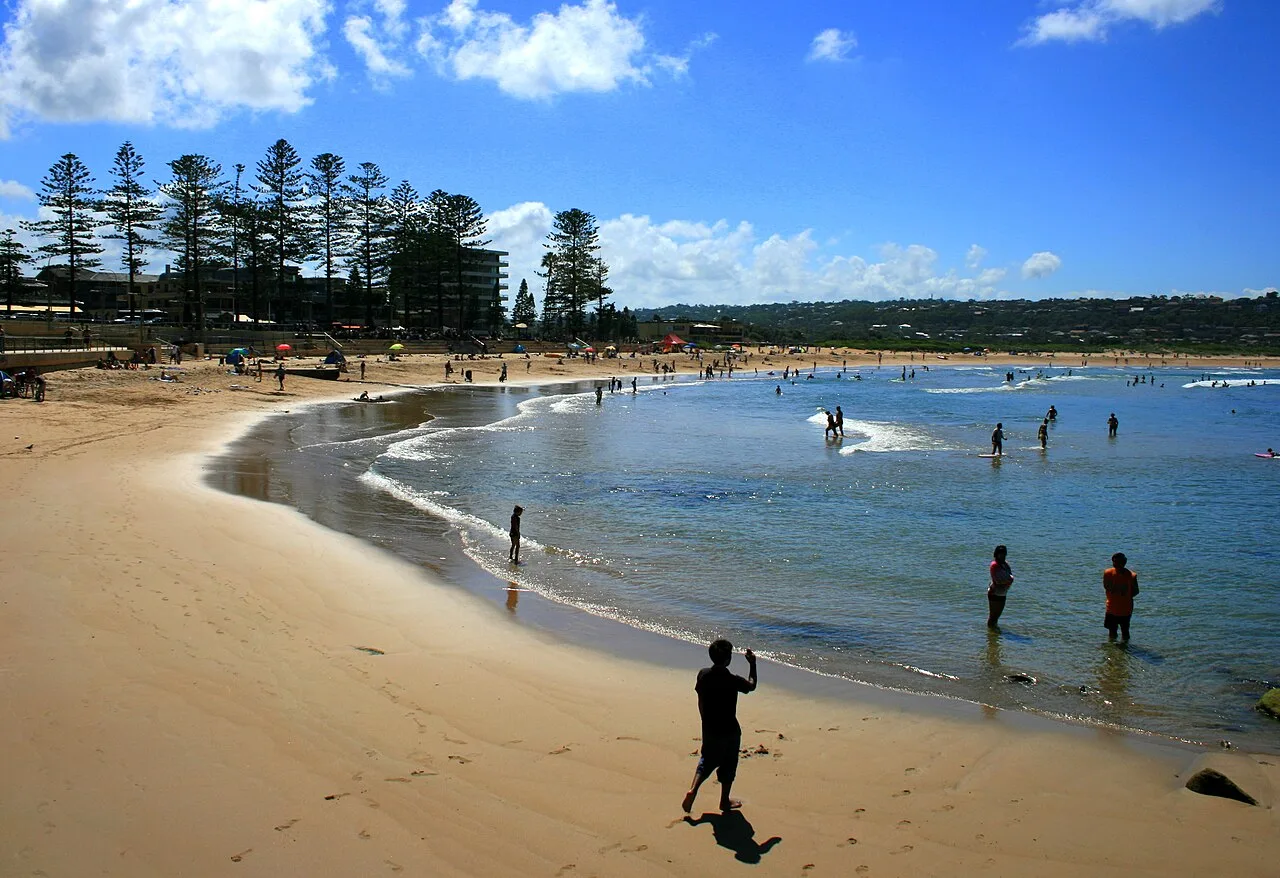 Sandy beach with families enjoying gentle waves under blue sky, backed by Norfolk pines and low-rise buildings creating a safe swimming environment.