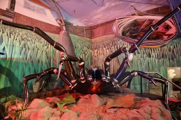 Large interactive spider exhibit with realistic animatronic spider positioned above visitors in a naturalistic habitat display with grassland backdrop at Australian Reptile Park