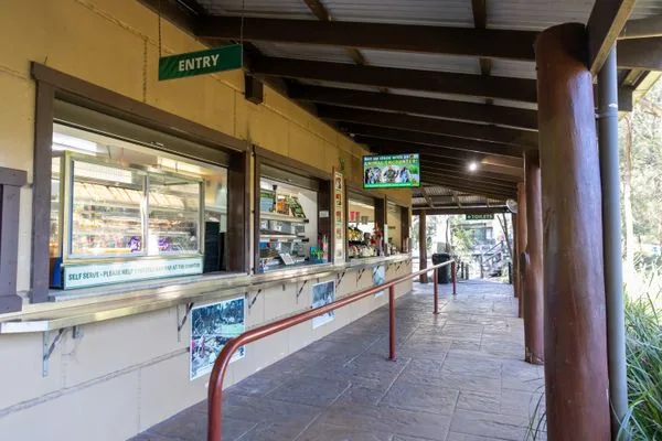 Covered outdoor entry area with service windows, wheelchair-accessible ramp with handrails, and shaded walkway supported by timber posts at reptile park visitor center.